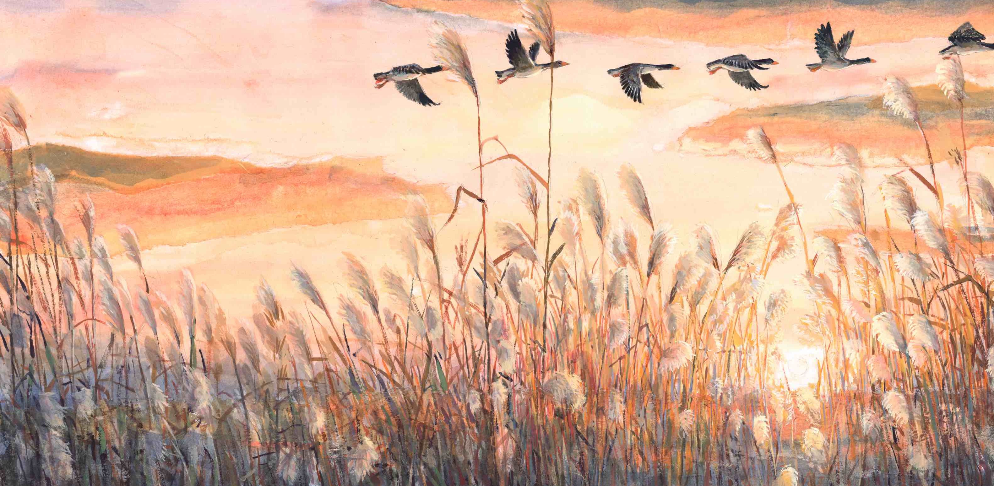 Danyi Shun Mu — selected illustration 1